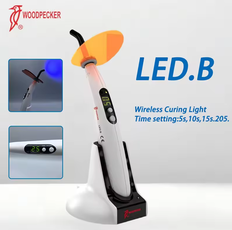 Luz de curado Dental pájaro ca - Teeth Whitening Uk reseña y precio