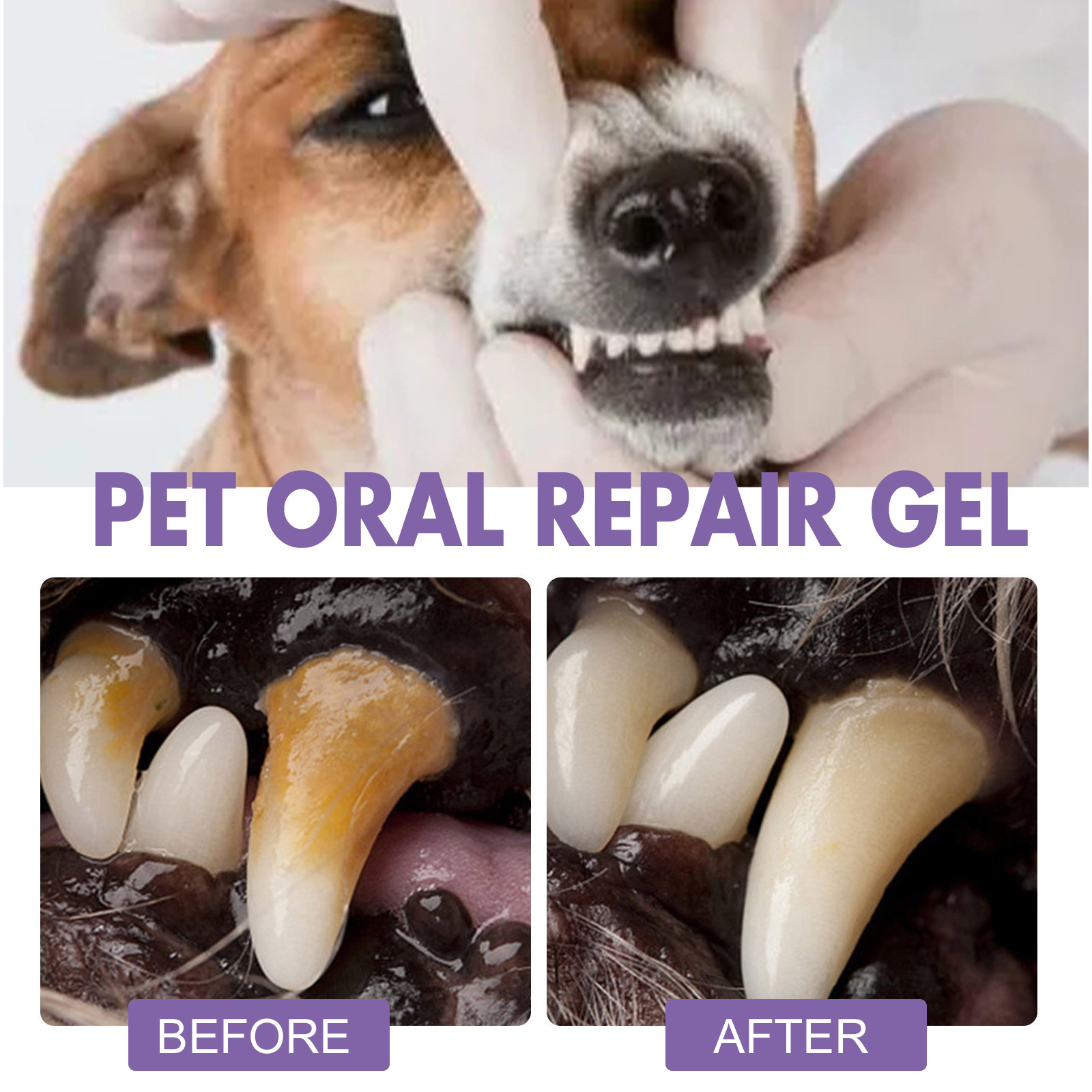 Gel de reparación Oral para ma - Teeth Whitening Q&M reseña y precio